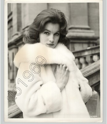 Actress SHIRLEY ANNE FIELD For SATURDAY NIGHT & SUNDAY MORNING 1960 Press Photo