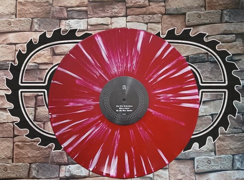 THE COMMITTEE - Power Through Unity LP (RED-WHITE Vinyl,limited 100 Copies) NEW - Picture 4 of 6