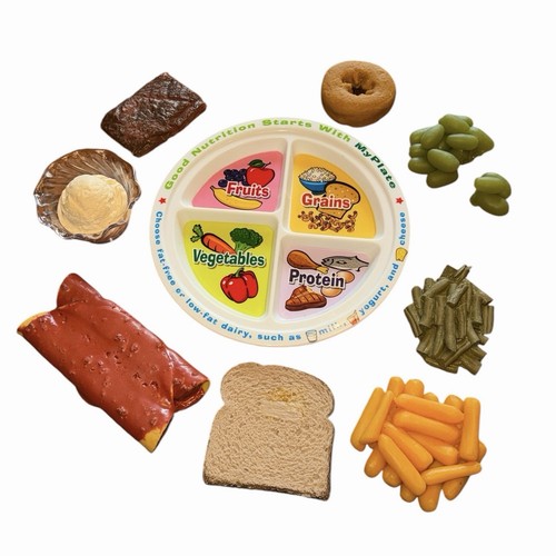 Fake Food Replica Lot 9 pieces Realistic Nutritional Display Items NASCO Health