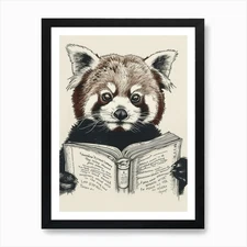 Red Panda Reading Ink Illustration  Framed Wall Art Poster Canvas Print Picture