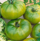 AUNT RUBY GERMAN GREEN TOMATO SEEDS 100+ indeterminate VEGETABLE garden NON GMO