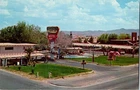 Vintage Desert Isle Motel Las Vegas Neon Sign & Pink Elephant Postcard
