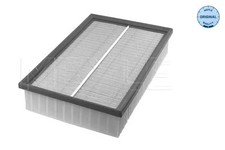 Filtre à air Ford P 100