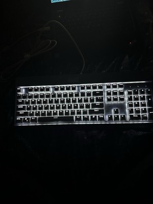 EagleTec KG010 Mechanical Keyboard Wired Ergonomic Blue Switches. READ