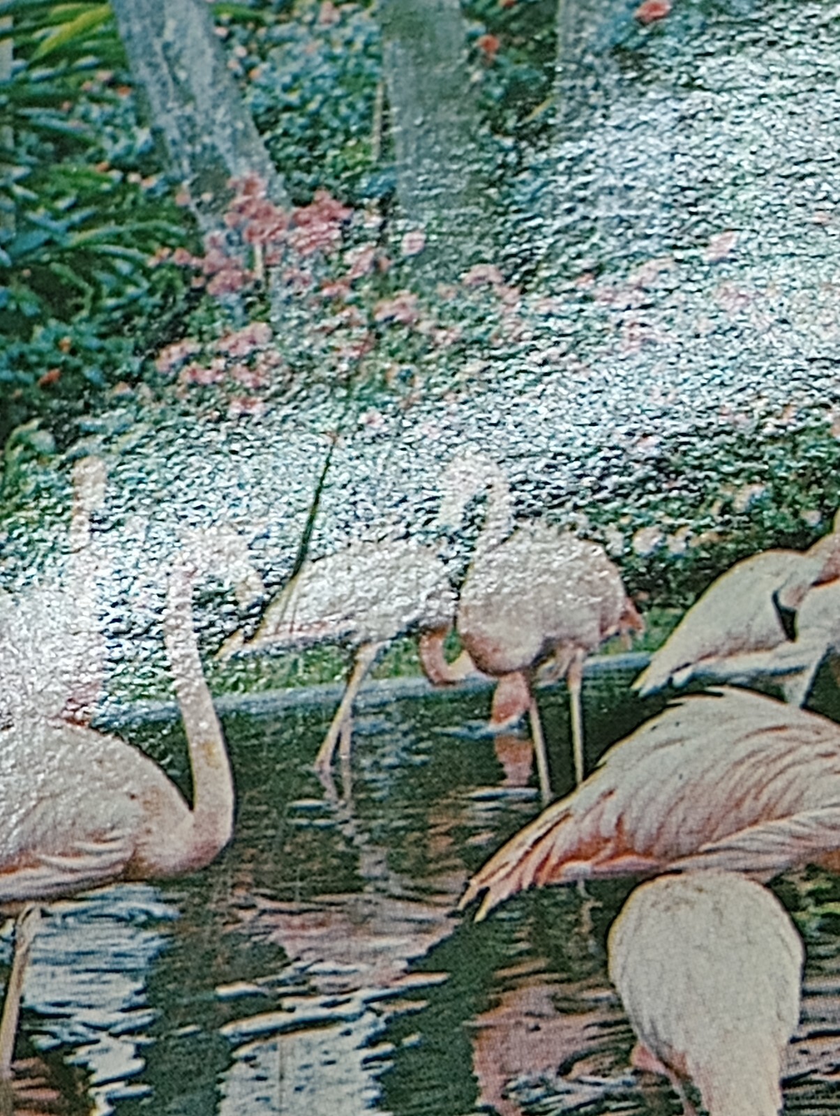 Picture 2 of 3