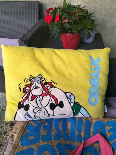 Taie D'oreiller Vintage Astérix Et Obélix - Multicouleur, Taille Standard
