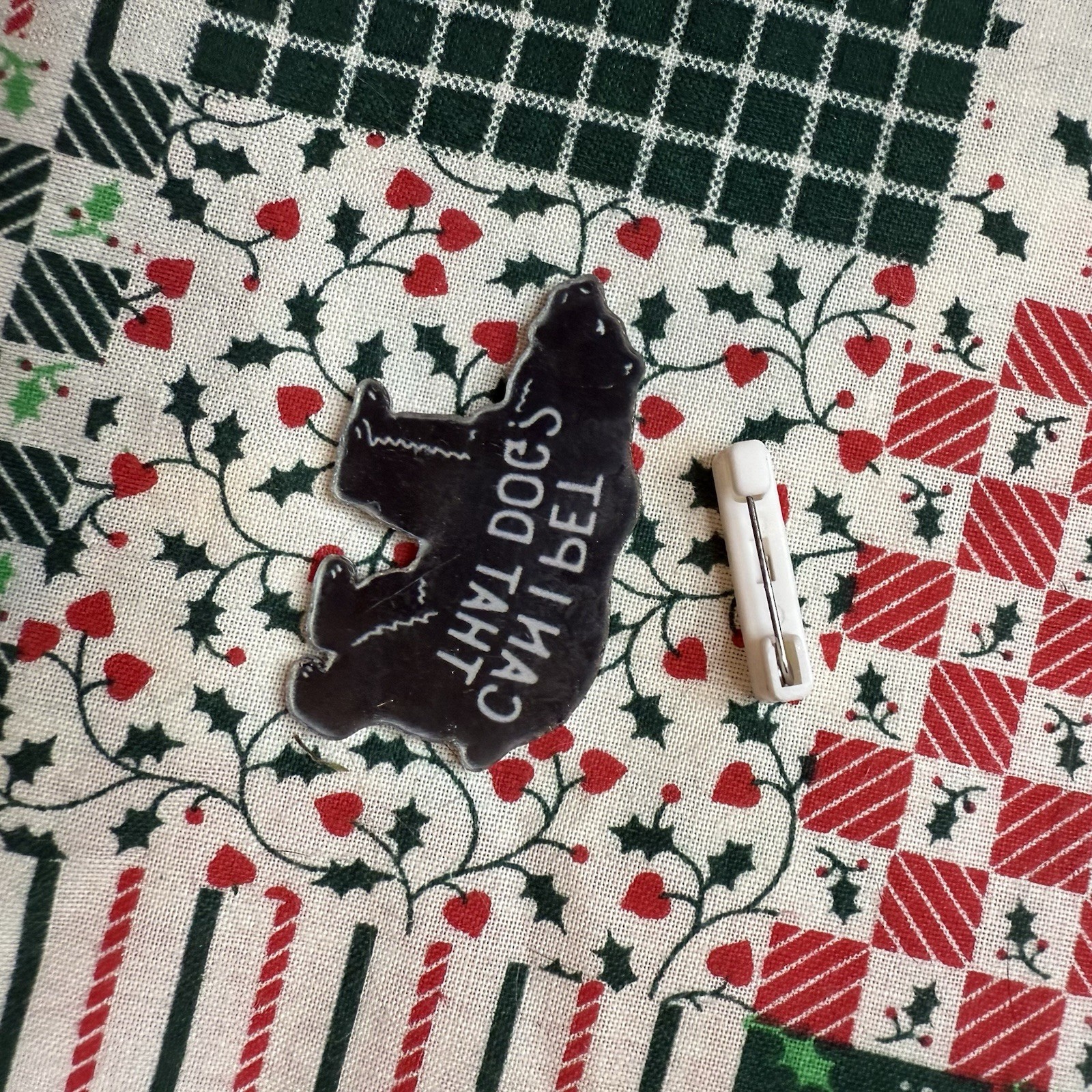 Pin Acrylic Bear Brooch Can I Pet That Dog Black Bear Outdoor Gift DIY New