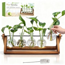 Plant Propagation Station 5 Bulb Glass Vases for Gardening Gifts