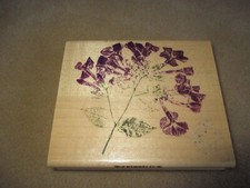 Inkadinkado Hydrangea Flower Rubber Stamp