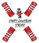 LO LOWERING SPRINGS for BMW 1 SERIES F20 11-19 125i 114D 116D 118D 120D 25/35mm
