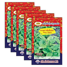 Thai Holy Basil Seeds Backyard Home Garden Herb Vegetables Asian Cook Food x5