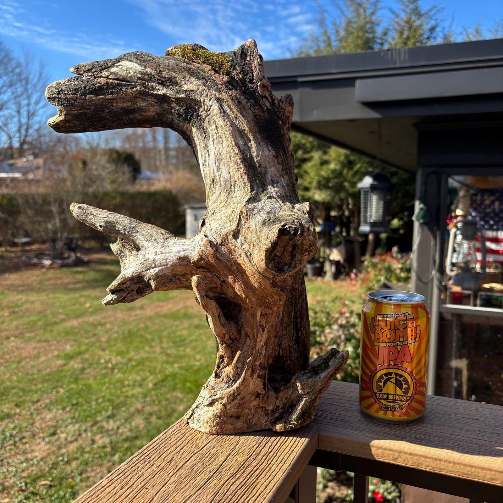 Hardwood Driftwood Tree 16x6x9 – Mossy Natural Branch Sculpture for Home Decor