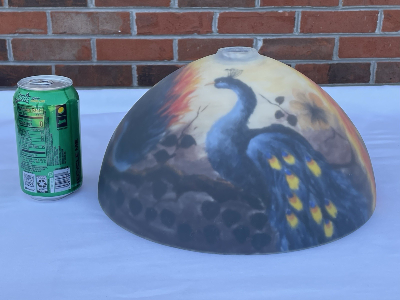 Picture 24 of 24