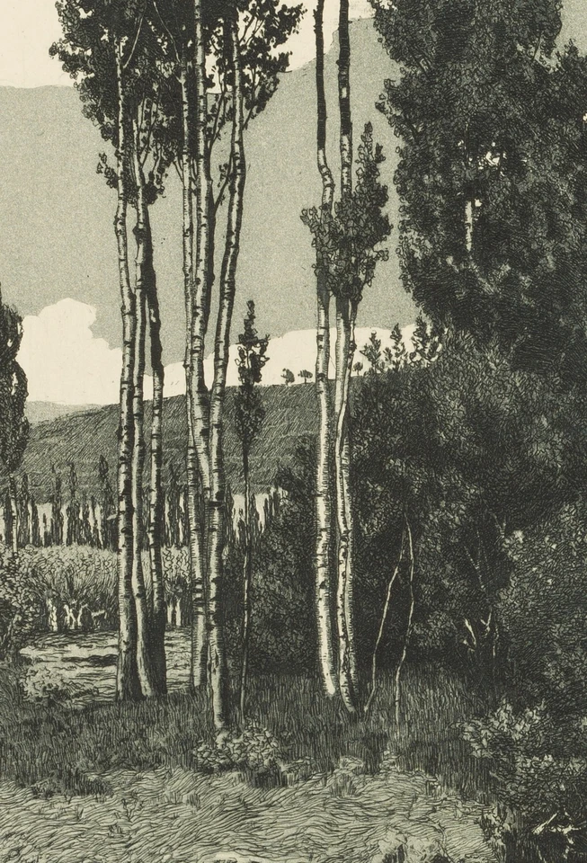 F. HOCH (1869-1916), Sommertag, Birken am Teich, Aquatinta Realismus Natur - Bild 3 von 4