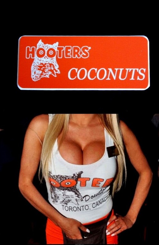 Hooters Uniform Coconuts Name Tag Pin SeXy Dress Role Play Costume Accessory