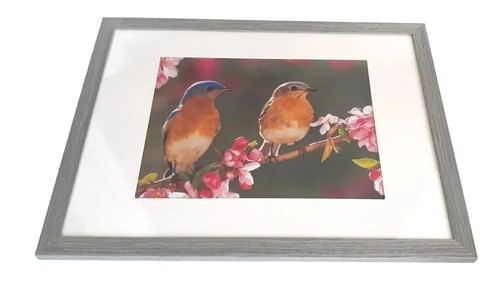 Wall Hanging Framed Picture Two Beautiful Eastern Blue Birds - Afbeelding 1 van 6