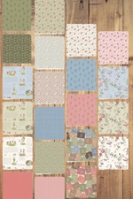 10 Half Yards - Assorted Anne of the Green Gables Half Yard Bundle