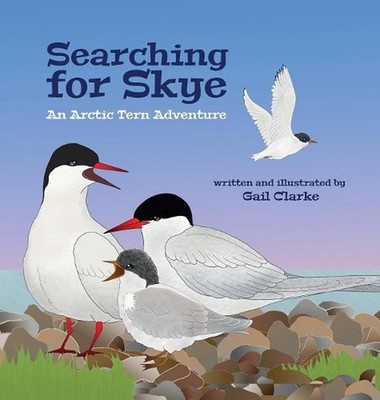Searching for Skye: An Arctic Tern Adventure by Gail Clarke (English) Hardcover 
