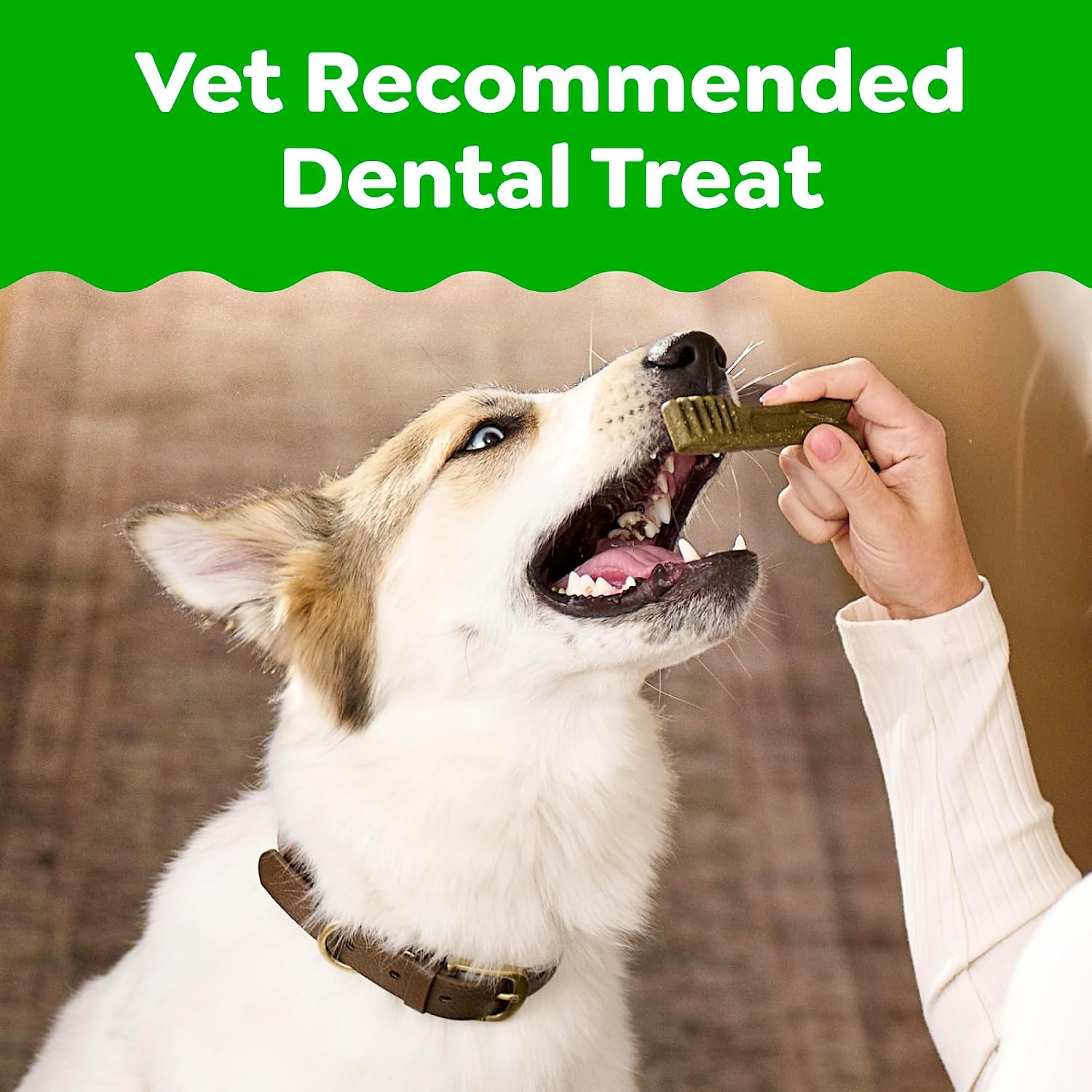 Canine Large Dental Dog Treats Original Value Pack 1Kg Box — image 11