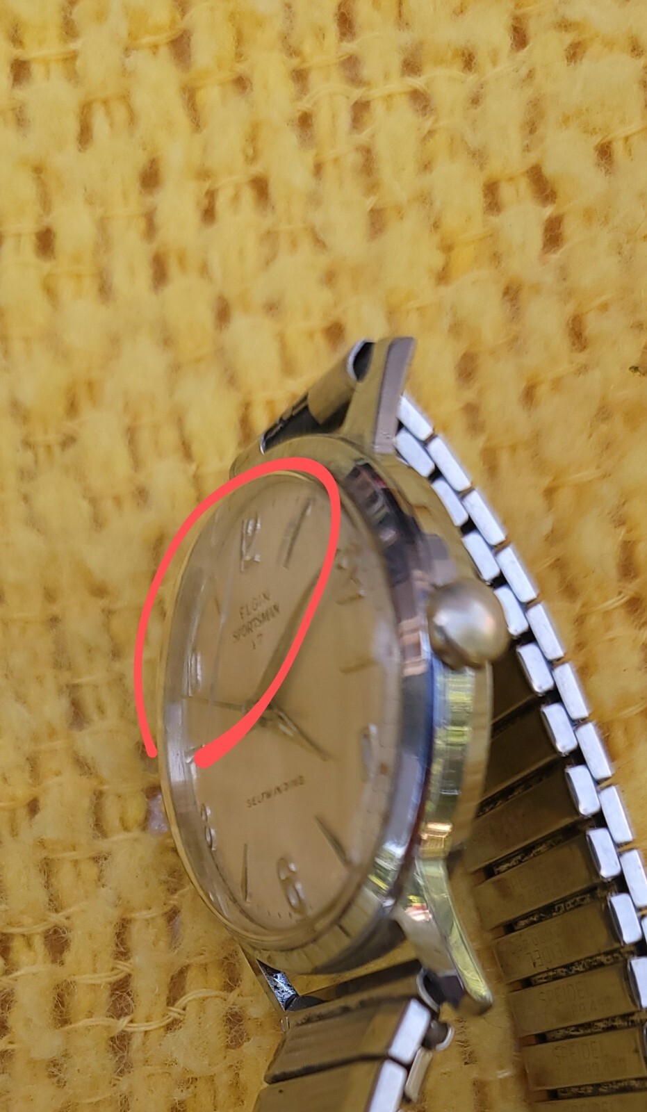 Picture 6 of 6