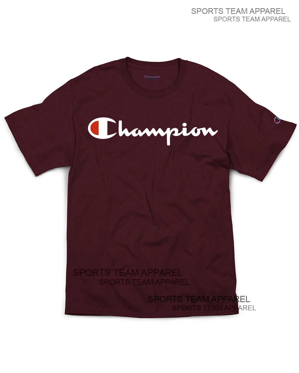 Champion Men's Jersey T-Shirt Classic Fit with Script Logo
