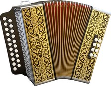 Hohner Pokerwork D/G MELODEON alla musica di Hobgoblin