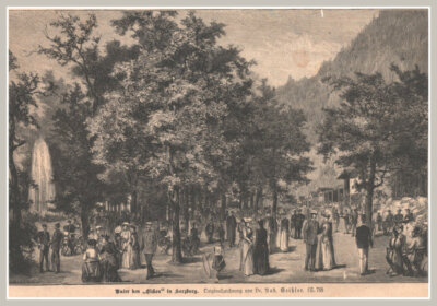 Bad Harzburg. Unter den ''Eichen'' in Harzburg. Original Holzstich von 1893