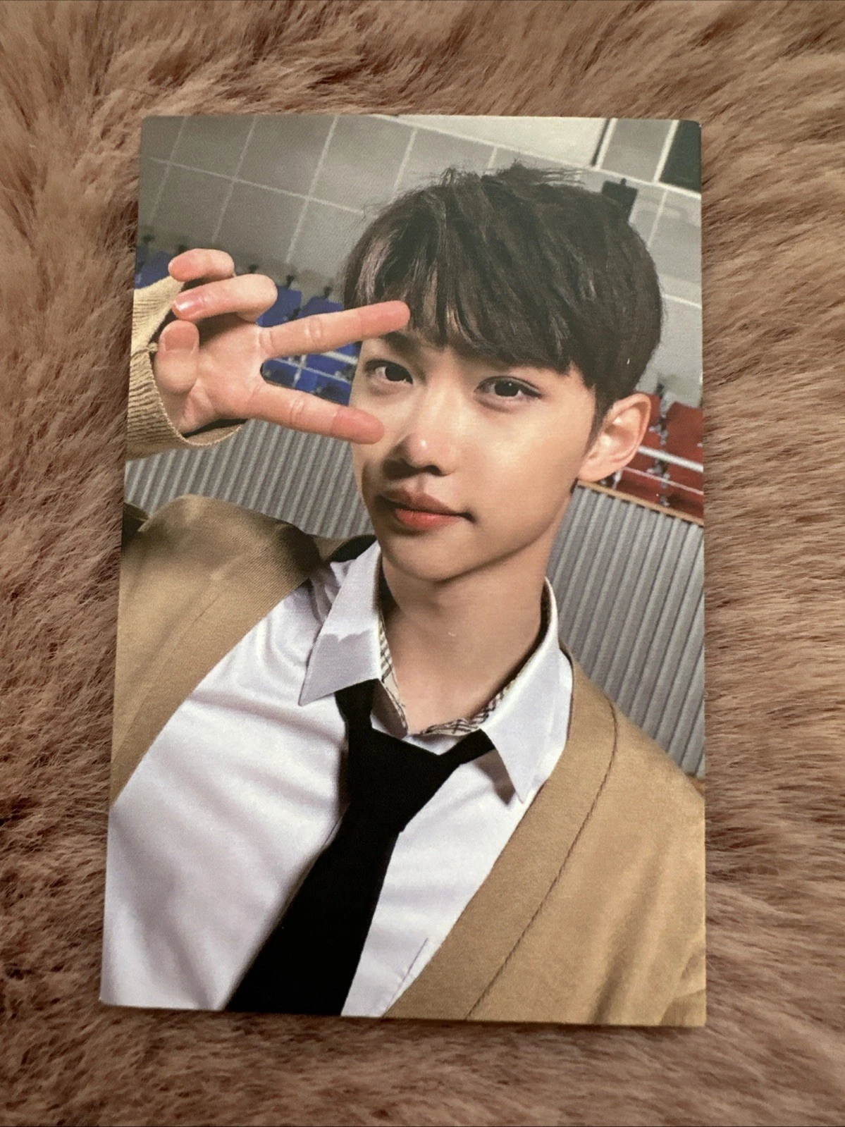 Felix - GO生 / GO LIVE Album PC photocard photocard