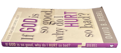 Wenn Gott so gut ist, warum tue ich dann so weh? von David B. Biebel ~ GEBRAUCHT ~ 2005 ~ Taschenbuch - Bild 3 von 3