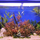 Bild 5 von 12