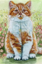 Original ACEO Ginger Tabby Kitten 21-0021  artist Svetlana Ledneva-Schukina