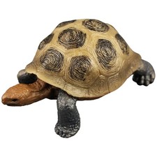  Modèle De Tortue Terrestre Statue Jouets D'animaux Réalistes Figurines Tortues