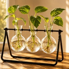 Plant Propagation Stations, Plant Terrarium with Minimalist Metal Stand