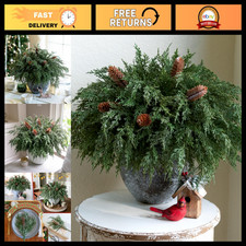 12 PCS Artificial Norfolk Pine Branches with Pine Cones - Realistic Faux Greener