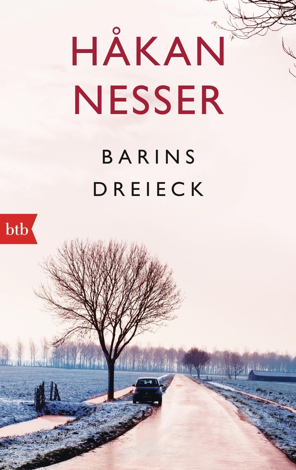 Thumbnail - Barins Dreieck | Håkan Nesser | Taschenbuch | Btb | 508 S. | Deutsch |