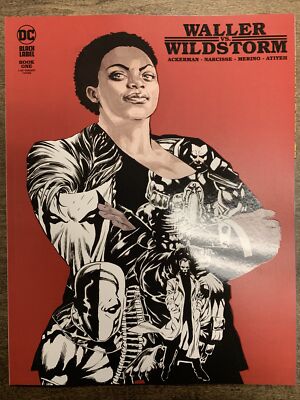 Waller Vs Wildstorm #1 (DC, 2023) 1:25 Incentive Mike Perkins NM+
