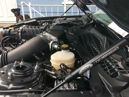 2015-2024 KIT DE APOIO DE SUSPENSÃO PARA CAPÔ MUSTANG FORD PERFORMANCE STREET OUTLAW S550/S650 VENDA - Imagem 3 de 4