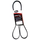 <!--F#f_0-->Multi Accessory Engine Fan Drive Belt for Holden VS V6 Commodore Calais Caprice<!--F/-->