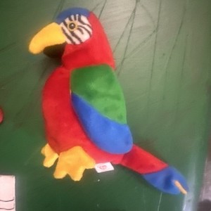 RARE Jabber the Parrot Ty Beanie Baby Excellent Condition!