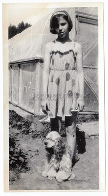 Dog Puppy Spaniel Pretty young girl Nice hair Lovely dress skirt Barefoot photo