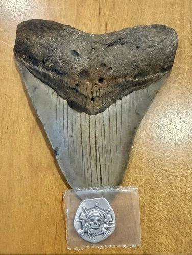 Reckless Metals ~ “Helm of The hollow”- 0.25-oz Hand Poured Silver Art Bar