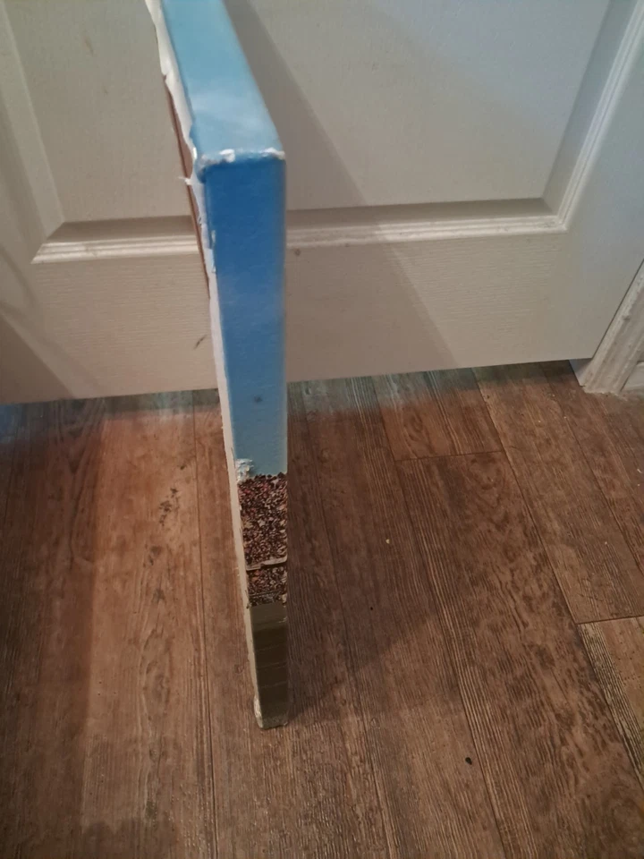 Foto en lienzo de Percy Harvin Minnesota Vikings 1 pie 4 pulgadas × 2 pies  Foto 4 de 4