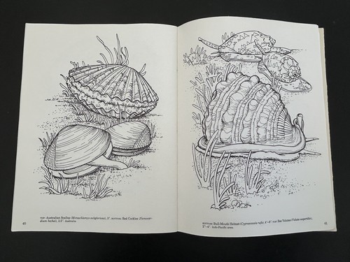 Shells of the World Coloring Book Dover Nature Lucia De Leiris PB 1983 - Picture 7 of 9