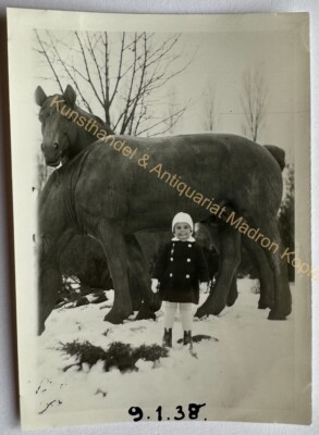 orig. Foto Berlin Südpark 1940 Pferde Skulptur 