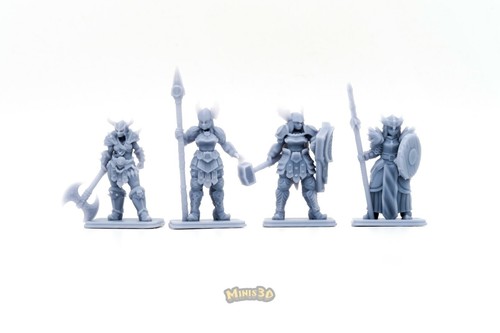 Valkiria - HQ Dungeon - Minis3D