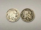 1919  Buffalo Nickel Lot