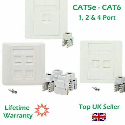 12 Ports cat5e cat 6 rj45 Ethernet LAN Wand paneel 118 Typ Internet Face Cover Buchse für Büro Schule Netzwerk Stecker  7