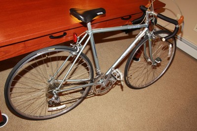 panasonic titanium road bike