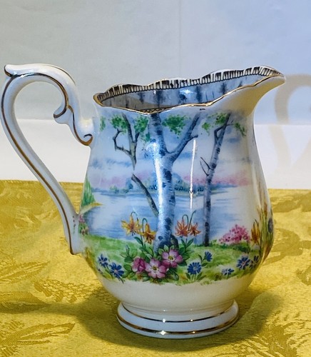 Juego Royal Albert Bone China plata abedul crema y azúcar vintage Inglaterra - Imagen 2 de 9