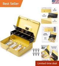 Large Cash Box with Key Lock, Metal Money Box for Cash, Portable Locking Safe...